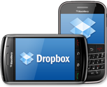 Blackberry web and application development services at affordable prices